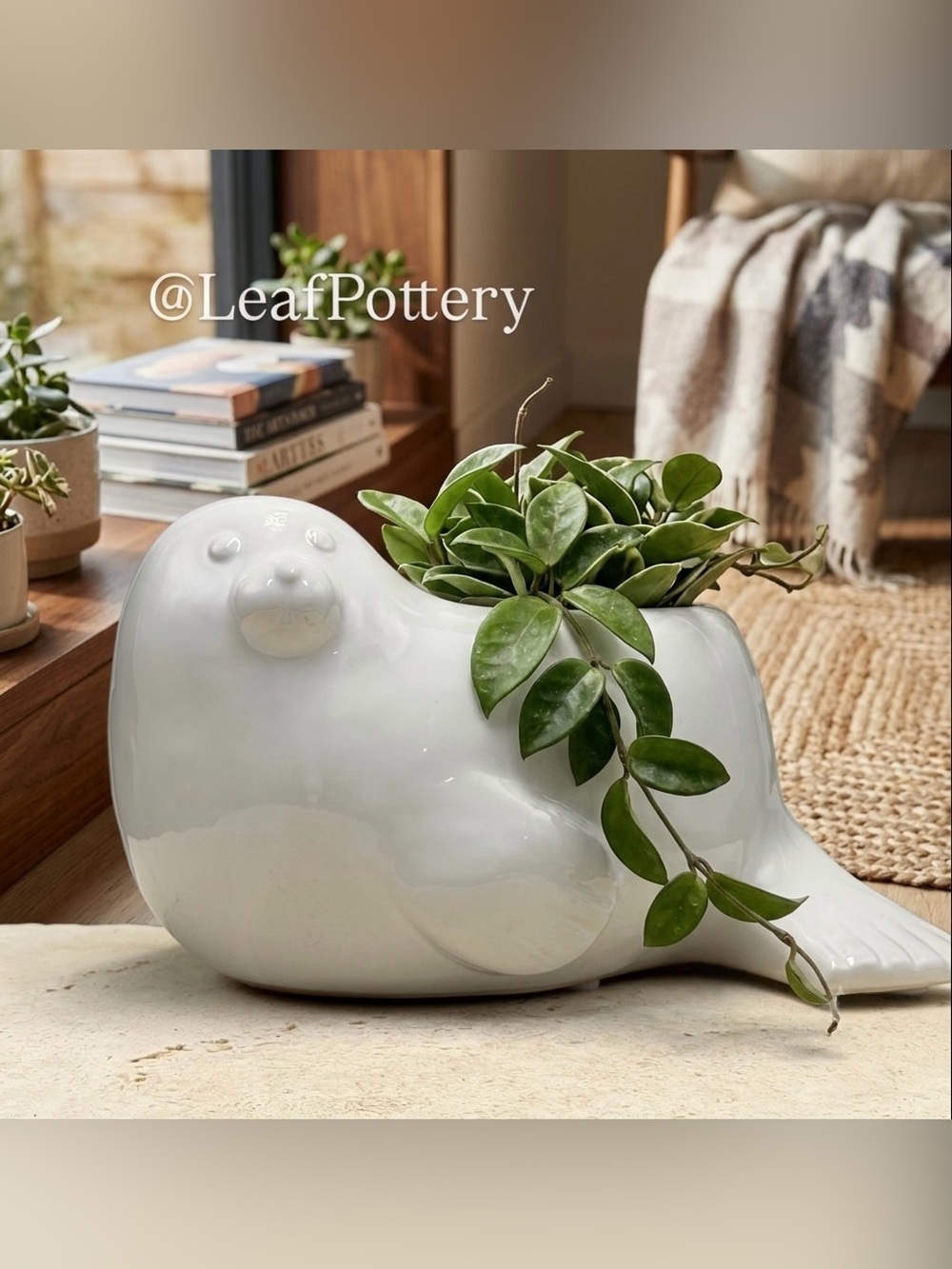 Ceramic Seal Planter with Drainage Hole • Cute Animal Flower Pot